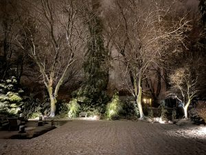 HandDadTV Winter Outdoor landscape lighting