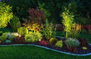 Illuminated garden by led lighting. backyard garden at night closeup photo - photo by Vision Green Landscape