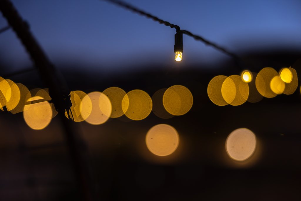 LED Low Voltage Christmas Lights Garden Lighting